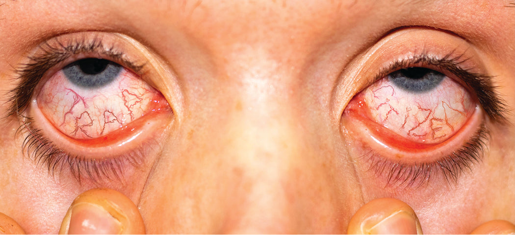 "HIGH OFF THE LIFE" Sticker